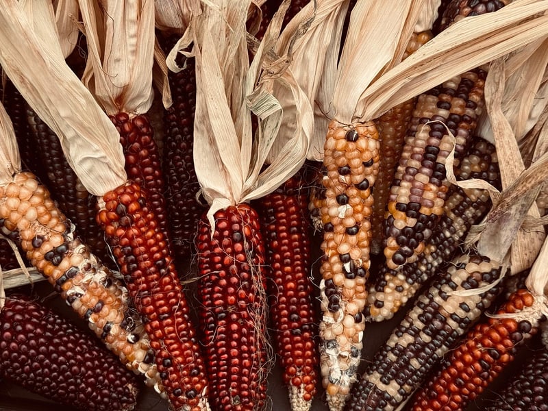 Mythical Harvest